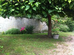 Maisons de vacances Gite des petites Poules rousses 9 personnes Zoo Beauval et Chateaux de la Loire : photos des chambres