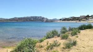 Mediterraneo