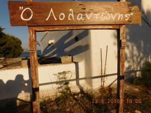 Wild Beauty Sea Paros Greece