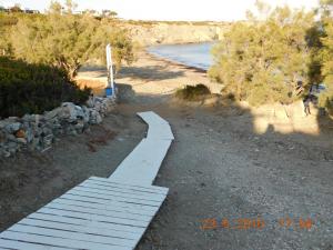 Wild Beauty Sea Paros Greece