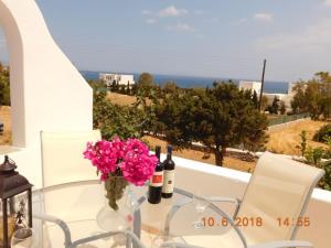 Wild Beauty Sea Paros Greece