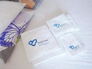 Studio Apartment Blue Window