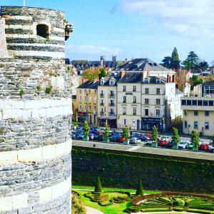 Hotels Logis Hotel Marguerite d'Anjou : photos des chambres