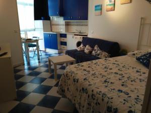 M3 904 Azul Mediterráneo bonito y confortable estudio