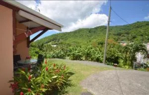 Bougain Fleuri - Bas Vent