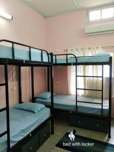 Gibbon Backpackers Hostel