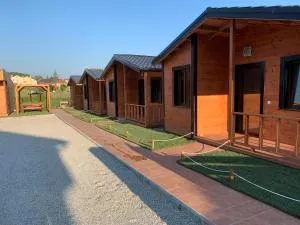 Recinto As Casiñas - 维戈