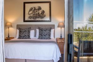 Knysna Elephant Park Lodge