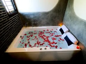 Villa Ecotiva - Пудучеррі