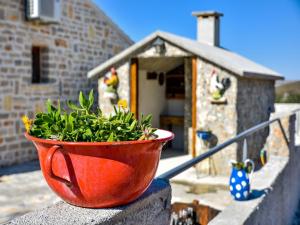 Haus-Anita-2-mit-Pool-fur-8-Personen