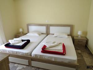 Holiday Dream Thalia Apartment Kos Greece