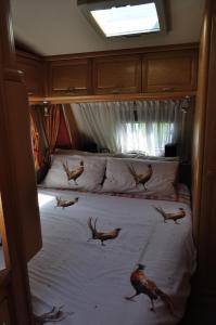 Campings Guillerin Caravan and Glamping : photos des chambres