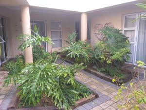 VillaVin at 47 Galpin