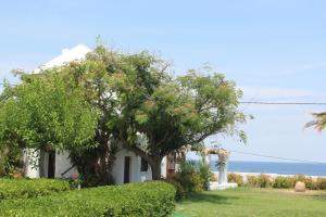 Villa Mantalena Skyros Greece