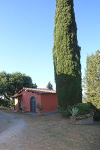 La viola
