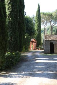 La viola