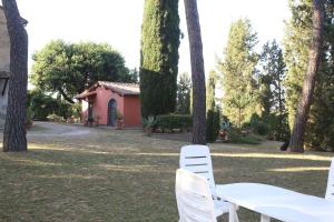 La viola