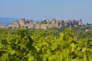 Maisons de vacances MAS DES VIGNES - View Cite de Carcassonne : photos des chambres