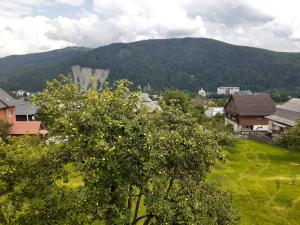 Kатруся