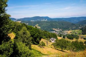 Hotels Le Bouton d'Or : photos des chambres