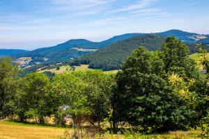 Hotels Le Bouton d'Or : photos des chambres