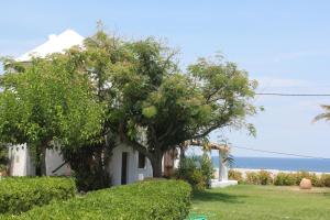 Villa Mantalena Skyros Greece