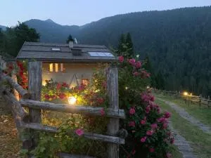 Chalet Delle Rose - Caderzone