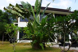 Twin Villas Apartment with Swimming Pool for 2 houses