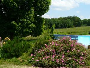 Appartements Chateau Regaldo-Saint Blancard : photos des chambres