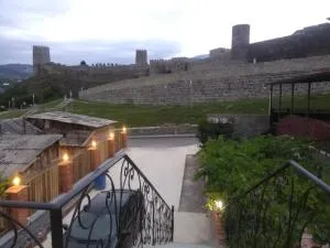 Guest To Lord Nakashidze - 阿巴斯图马尼