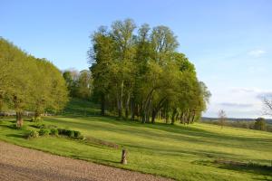 B&B / Chambres d'hotes Chateau de SURY : photos des chambres