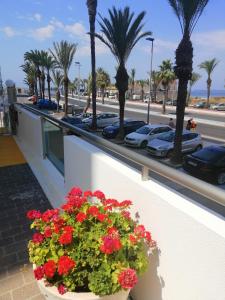 La Manga, Euromarina Tower