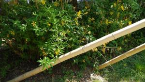 Campings Camping jardin La Vie en Vert en Ariege : photos des chambres