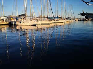 Appartements Studio calme a Giens , 2 pas du port et des plages : photos des chambres