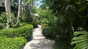 Colibri Apartments - 4 min walk to the Beach!