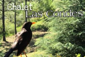 Posada del Halcón - Cabañas y Suites