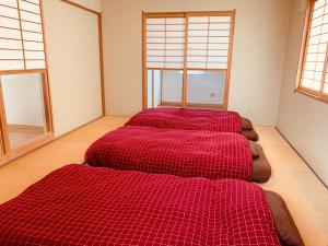 Eccos House エッコズハウス