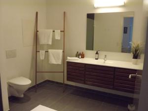 Luxury in the Heart of Copenhagen Near Harbour Baths