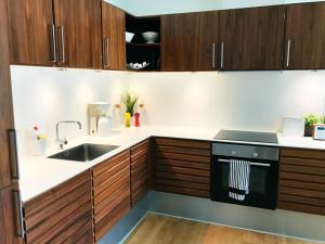 Luxury in the Heart of Copenhagen Near Harbour Baths