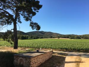 La Bastide des Anglades photo 24