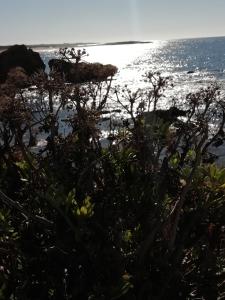 Sardinia for you img28