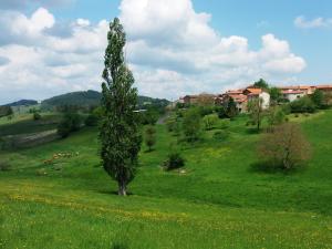Le Vallon dArmandine, gîte écologique Auvergne