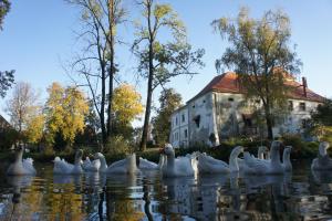 Ferienhaus Piotrowice Nyskie Palace Otmuchów Polen