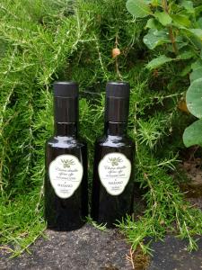 Apartma Kočevar Portorož