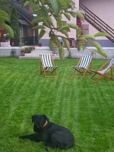 Apartement Apartments Mojstrana - Kekec Mojstrana Sloveenija
