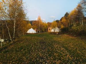 Tentes de luxe Silver Trees - Glamping : photos des chambres