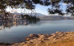 Villa in the Olive Trees Parnassos Greece