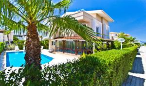 Paradise Town Villa Premium