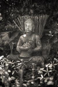 Maisons de vacances Villa Oceane : photos des chambres