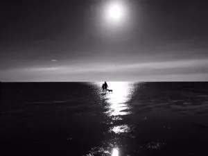 Le bout du monde - Saint-Quentin-en-Tourmont